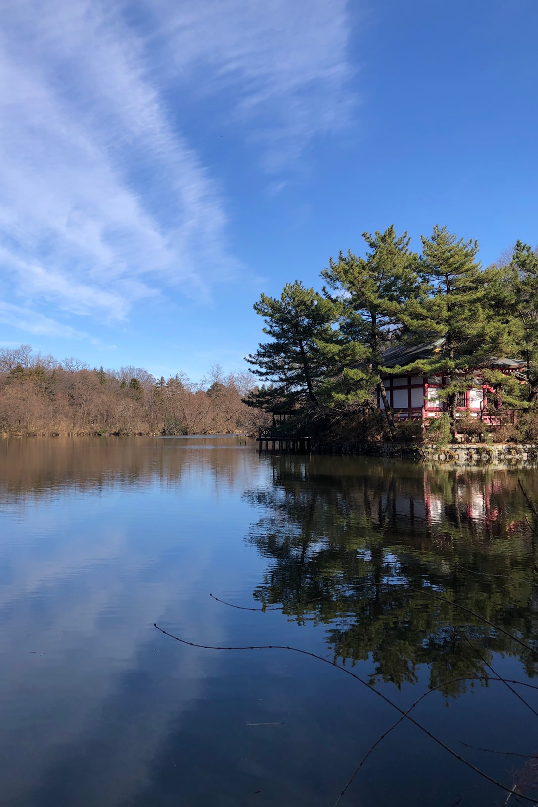 石神井公園とは？周辺のおすすめのランチスポットは？