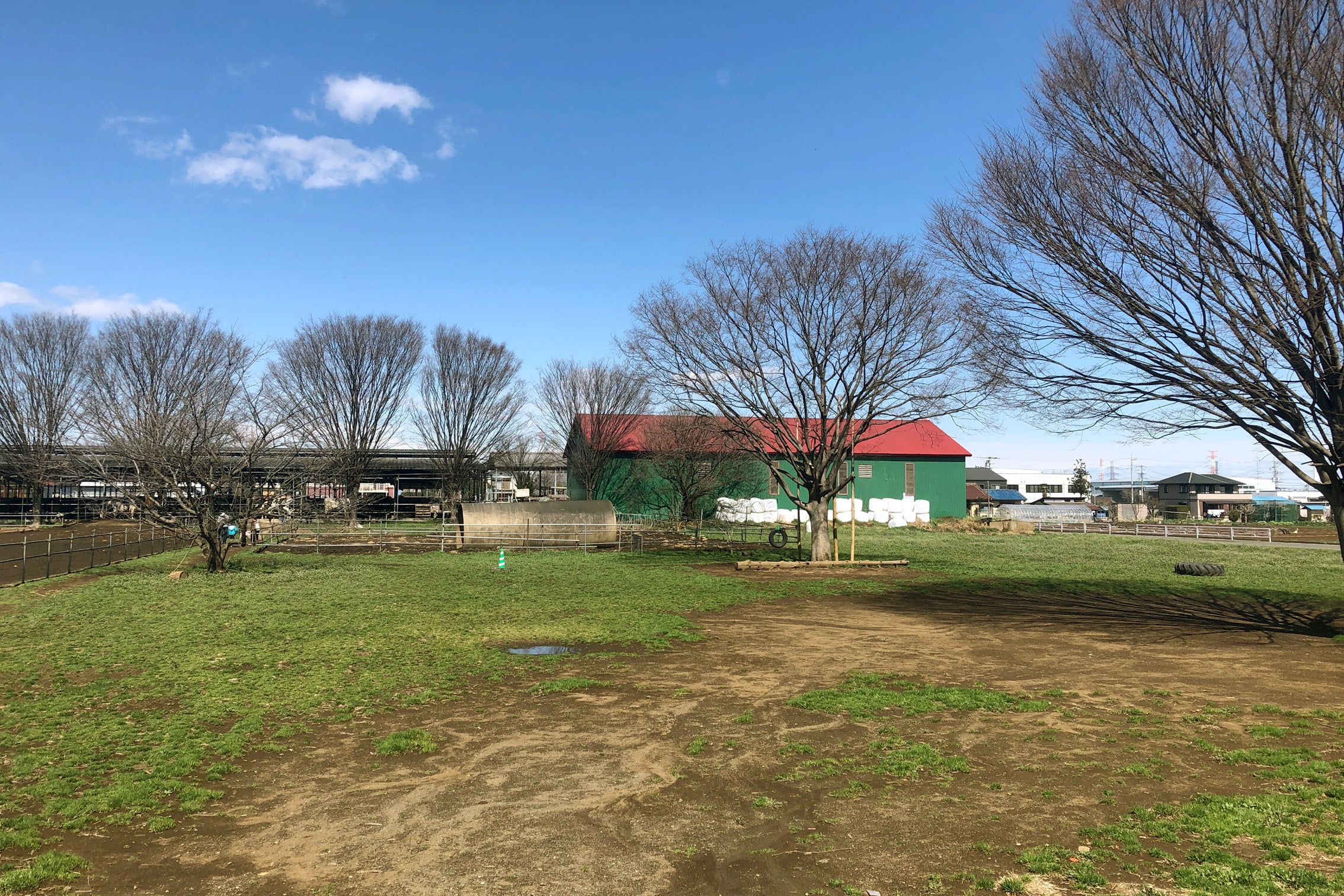 日高市加藤牧場のチーズを使ったメニューとは?