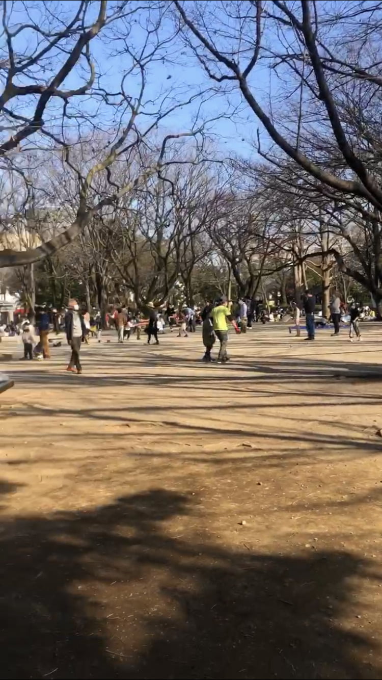 杉並区井草森公園のプレーパークとは?水遊びはできる?